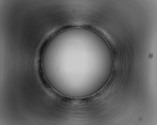 X0000103450736200809121426