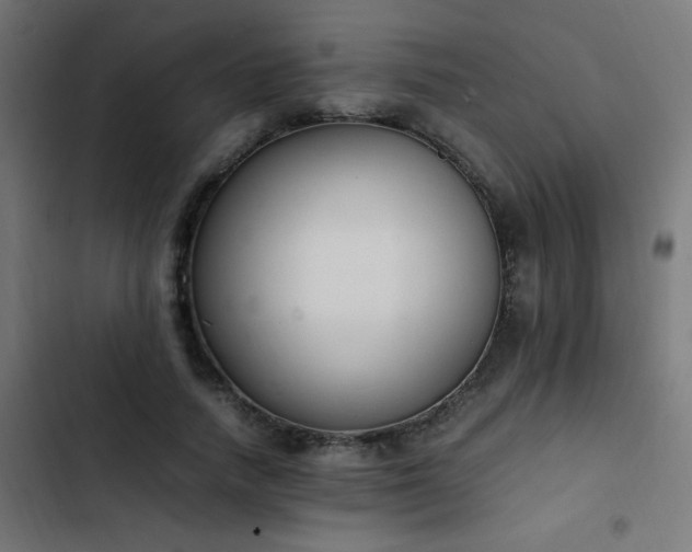 X0000103450738200809121426