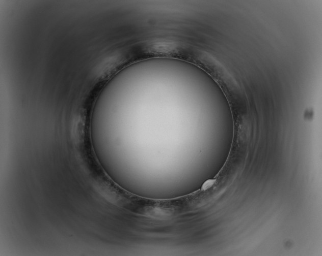 X0000103450739200809121426