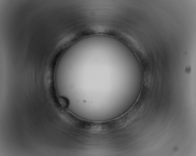 X0000103450740200809121427