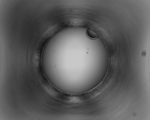 X0000103450741200809121427