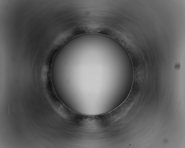 X0000103450742200809121427