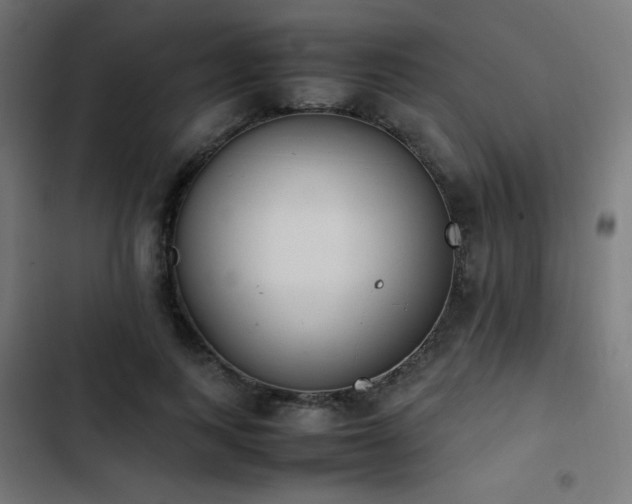 X0000103450743200809121427