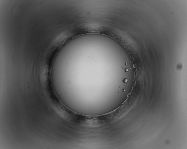 X0000103450744200809121427