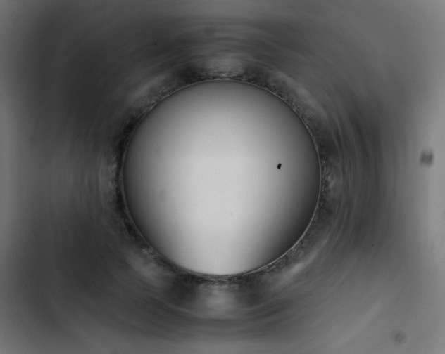 X0000103450745200809121427