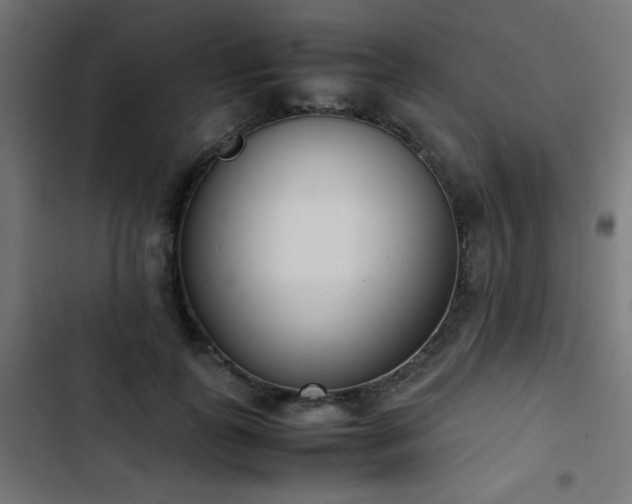 X0000103450747200809121427