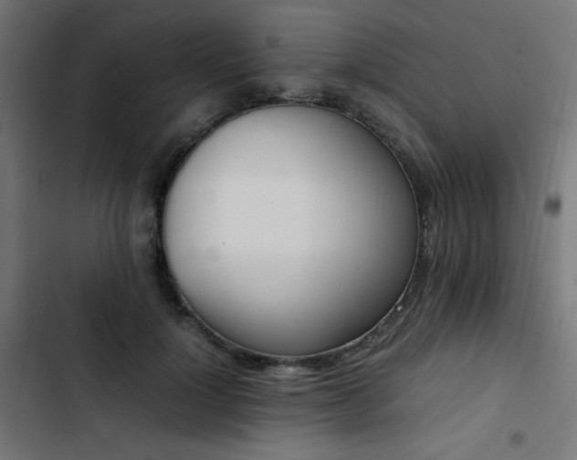 X0000103450748200809121427