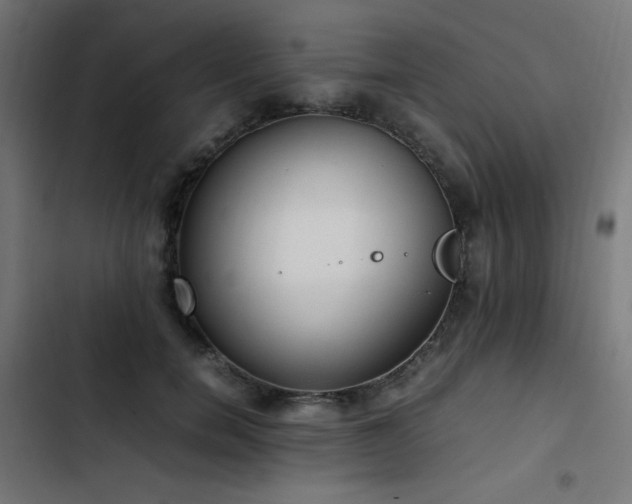 X0000103450750200809121427