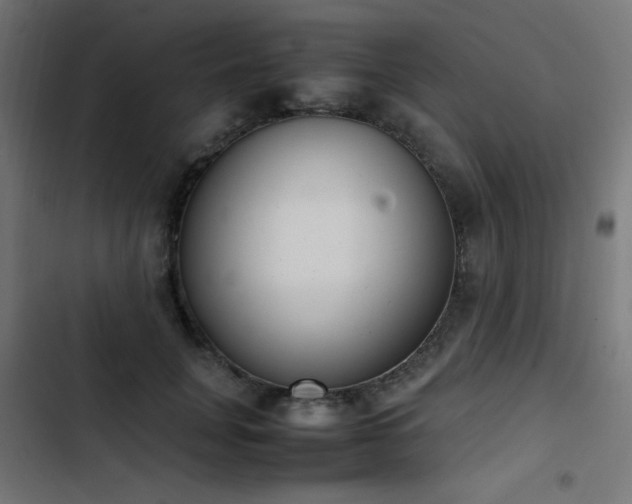 X0000103450751200809121427