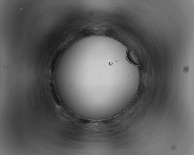 X0000103450752200809121427