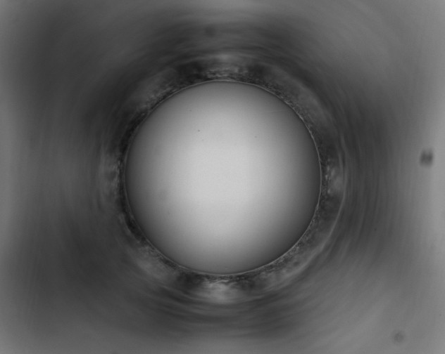 X0000103450753200809121427