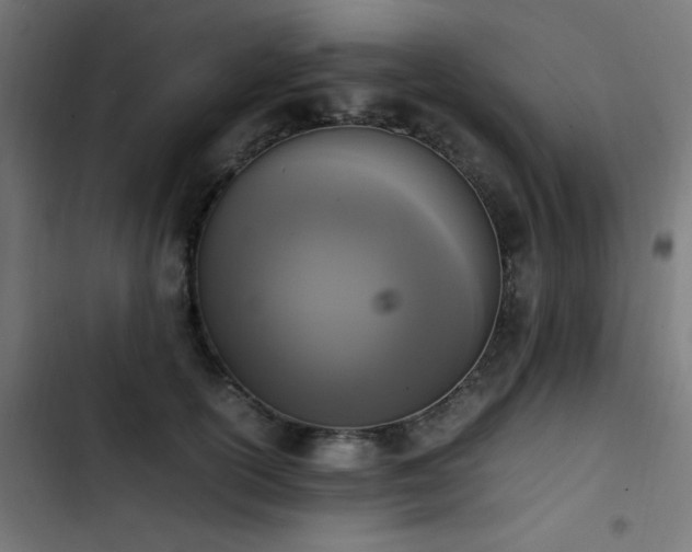 X0000103450754200809121427