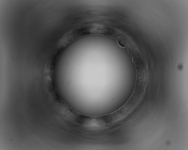 X0000103450755200809121427