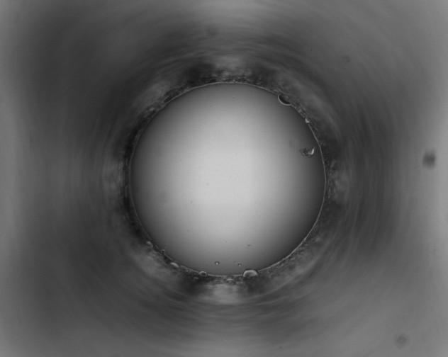 X0000103450756200809121427