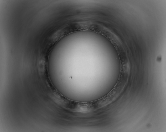 X0000103450757200809121427