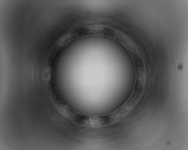 X0000103450758200809121427
