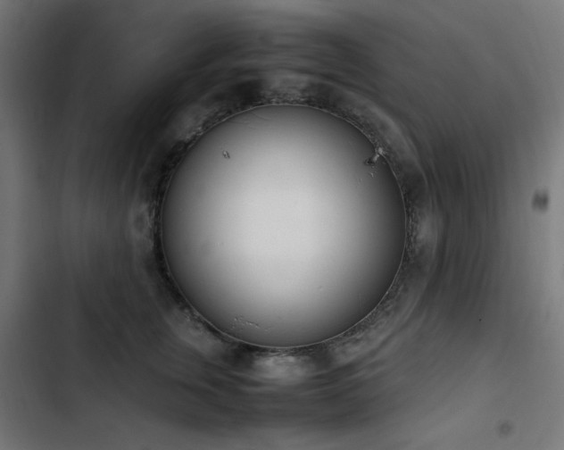 X0000103450759200809121427