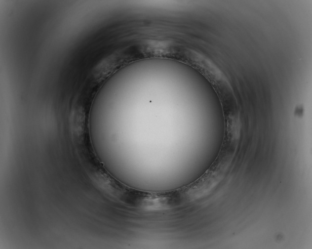 X0000103450760200809121427