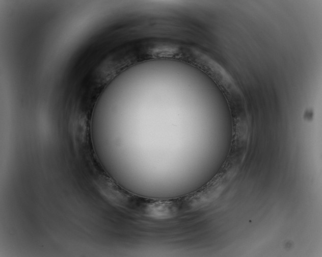 X0000103450761200809121427