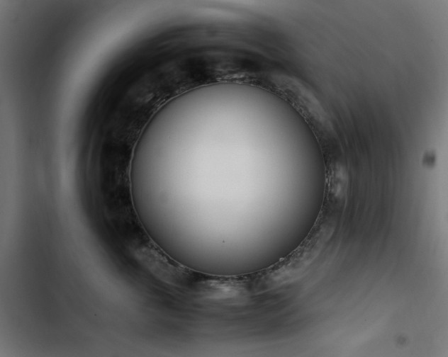 X0000103450763200809121427