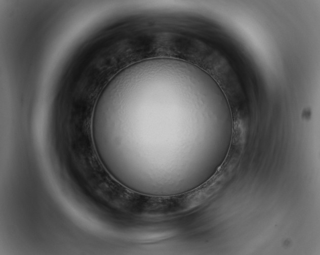 X0000103450765200809121427