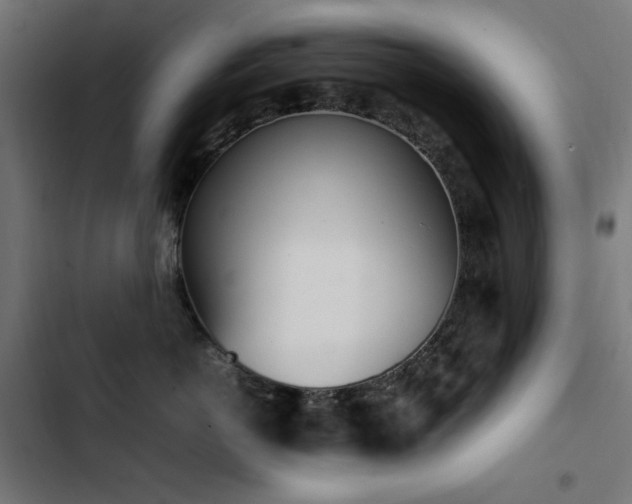 X0000103450766200809121427