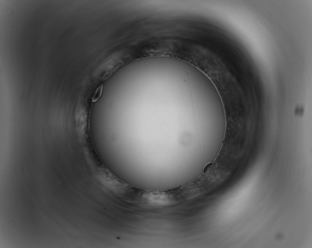 X0000103450767200809121427