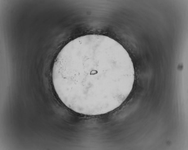 X0000103450769200809121426