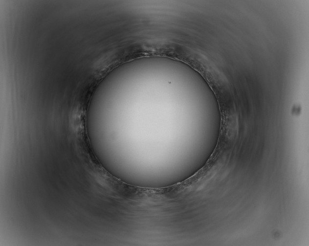 X0000103450770200809121426
