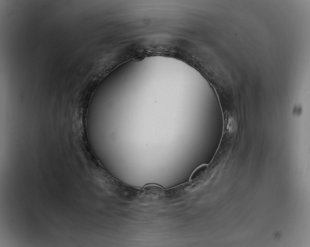 X0000103450771200809121426