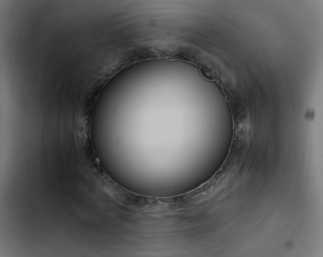 X0000103450772200809121426