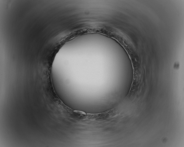 X0000103450773200809121426