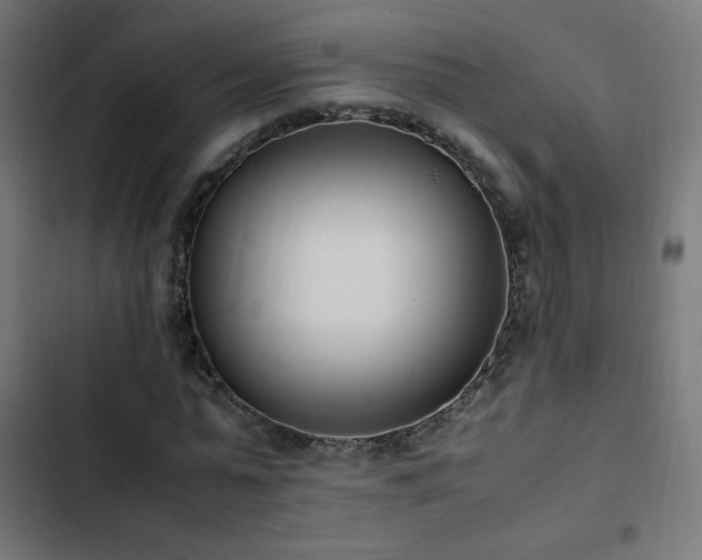 X0000103450775200809121426