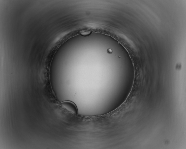 X0000103450776200809121426