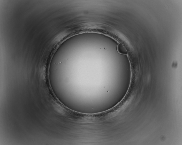 X0000103450777200809121426