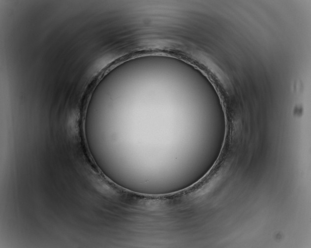 X0000103450778200809121426