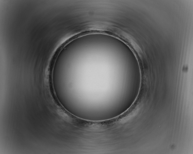 X0000103450779200809121426