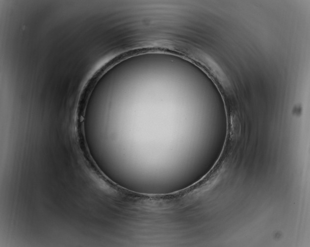 X0000103450780200809121426