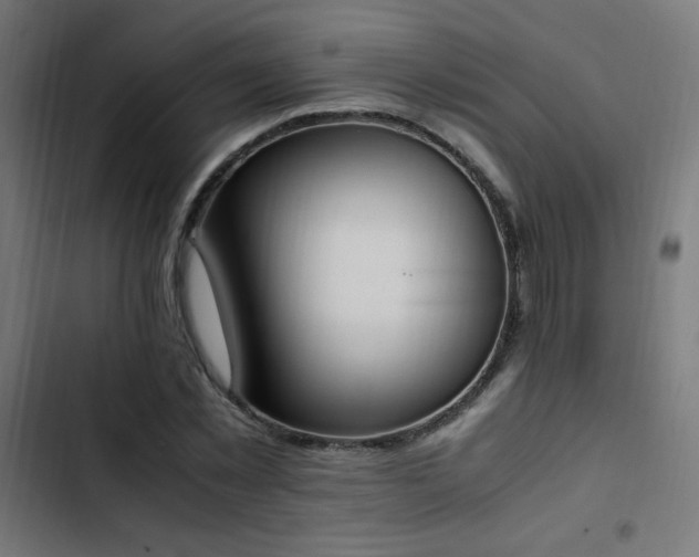 X0000103450781200809121426