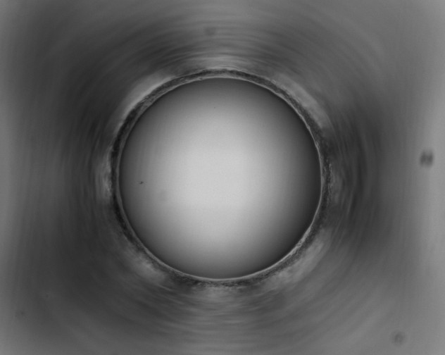 X0000103450782200809121426