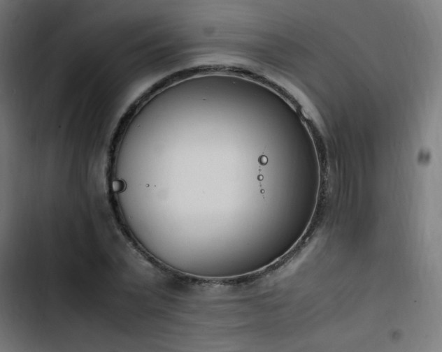 X0000103450783200809121426