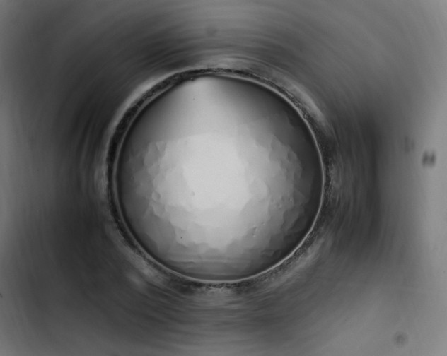 X0000103450784200809121426