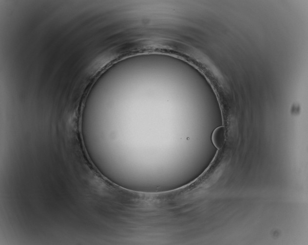 X0000103450785200809121426