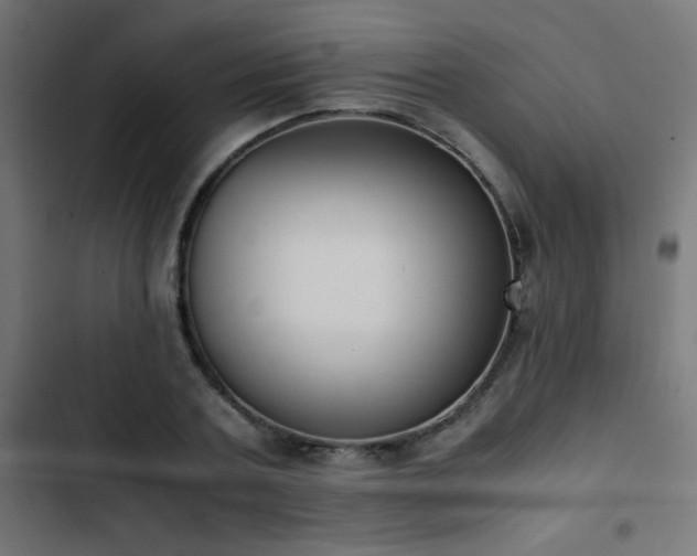 X0000103450787200809121426