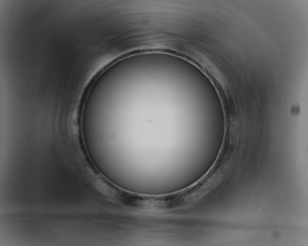 X0000103450789200809121426
