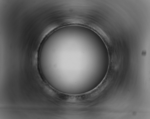 X0000103450790200809121426
