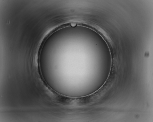 X0000103450791200809121426