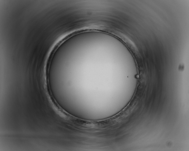 X0000103450792200809121426