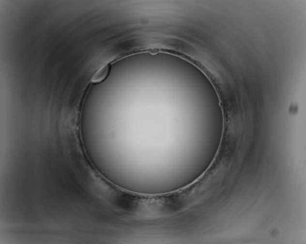 X0000103450793200809121426