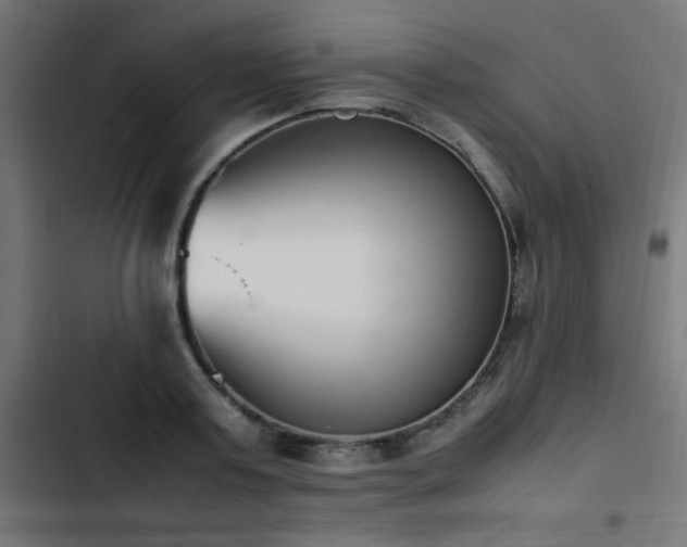 X0000103450795200809121426